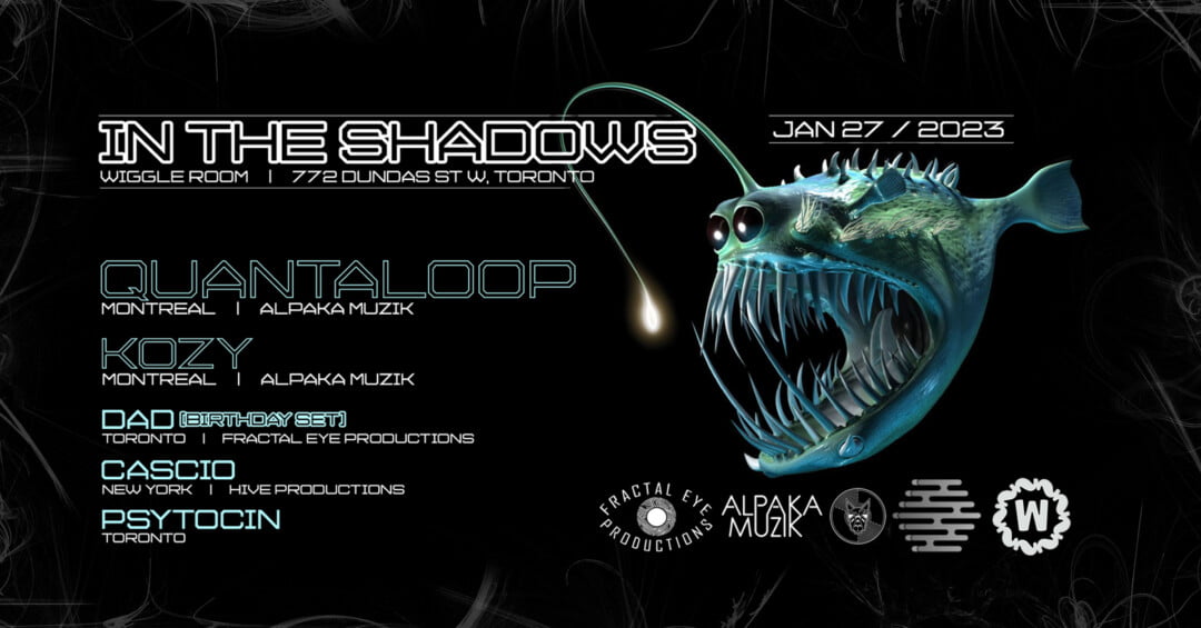 In The Shadows black flyer
