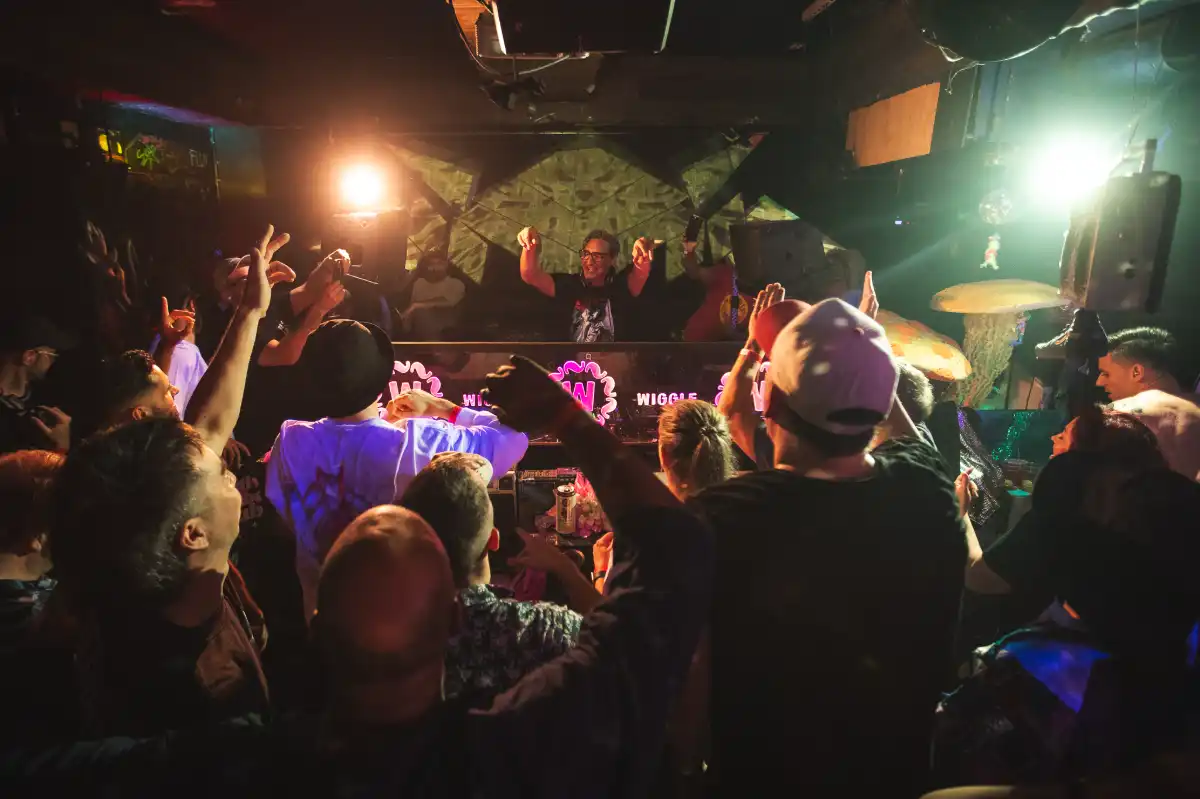 Dancing crowd with DJ