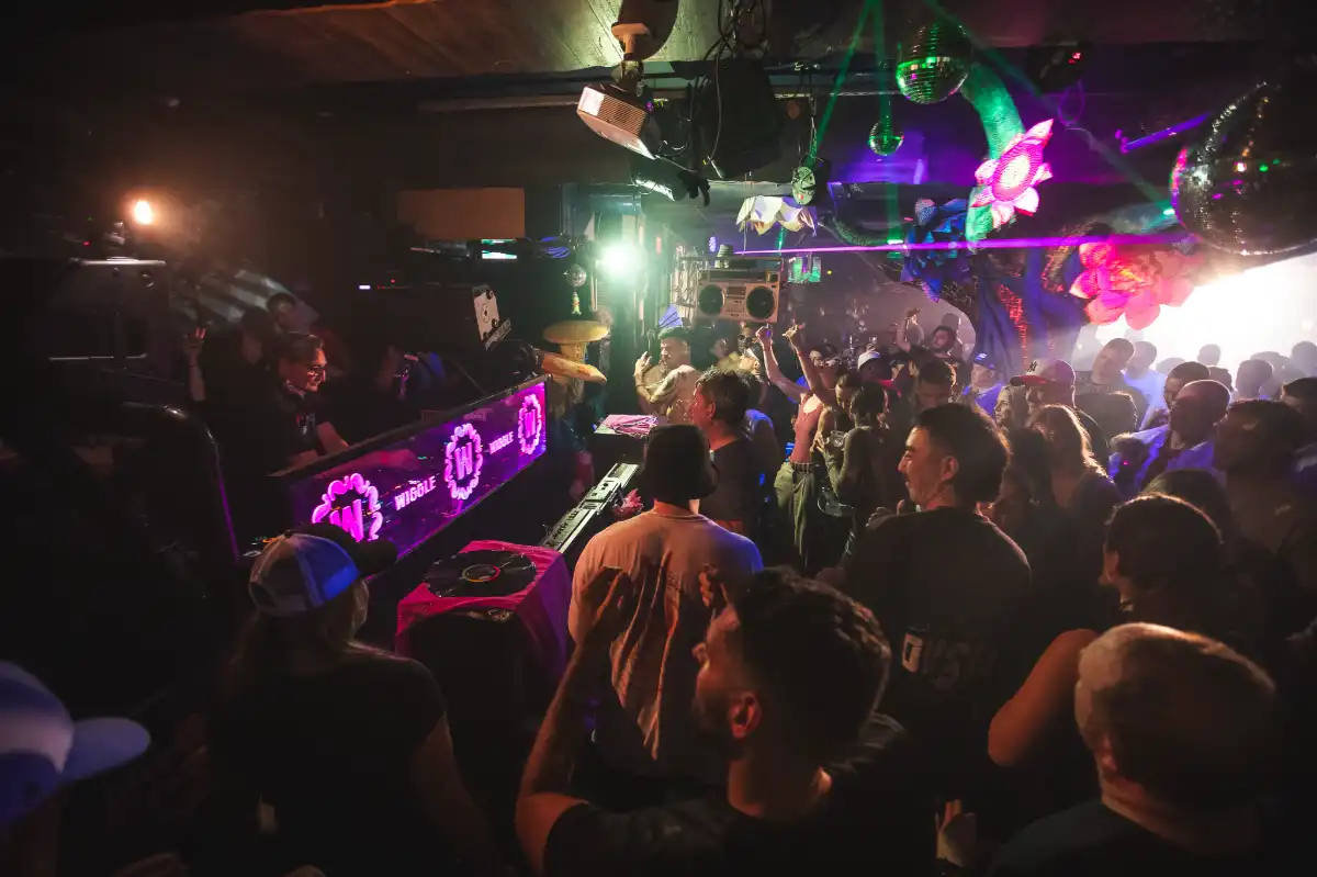 Dancing crowd