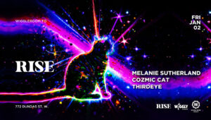 01 Jan02 CozmicCat-02